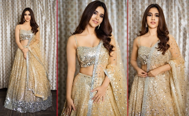 Pic Talk: Nabha Tempts With Sizzling Show