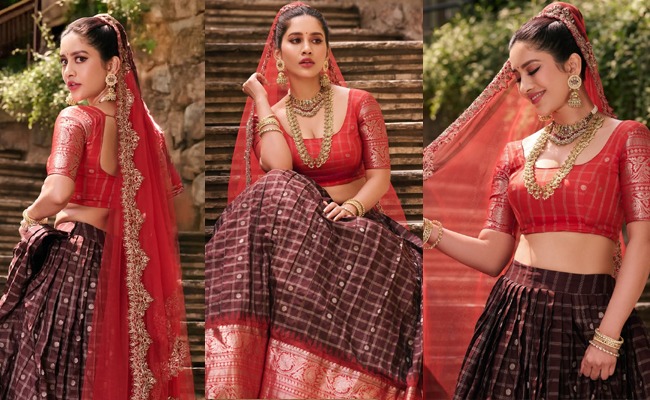 HOT: Nabha Shines in Traditional Elegance