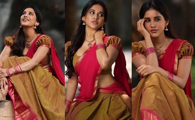 Pics: Beautiful Nabha As 'Achcha Telugu Ammayi'