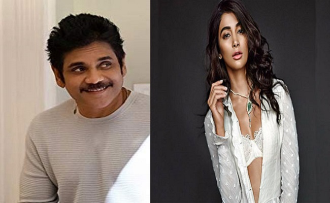 Pooja Hegde and Nagarjuna Appear Together