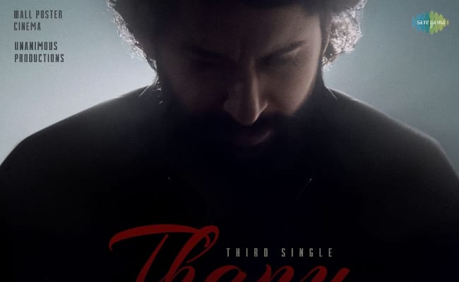 Thanu From HIT 3: Anirudh's Magical Vocals