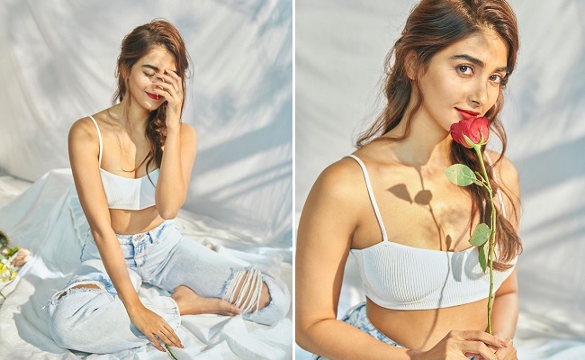 No Wedding Bells Yet: Pooja Focuses on Career