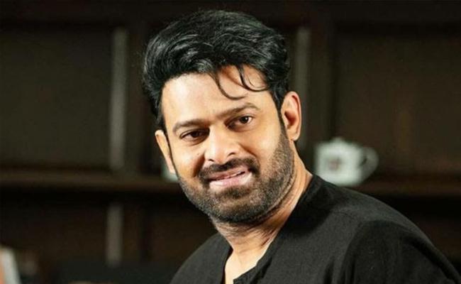 Prabhas to Launch Raja Deluxe This Year!