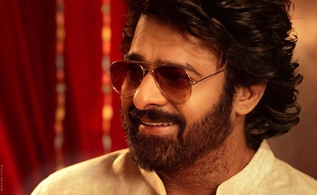 Maruthi Says The Raja Saab Will Meet Fans's Expectations