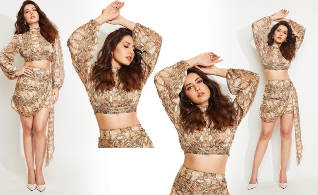 Pics: Raashi Khanna Poses In Two Piece
