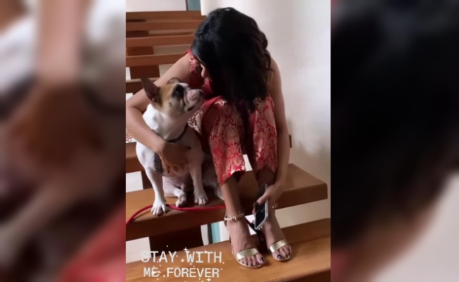 Samantha's Pet Dog Message Catching Attention