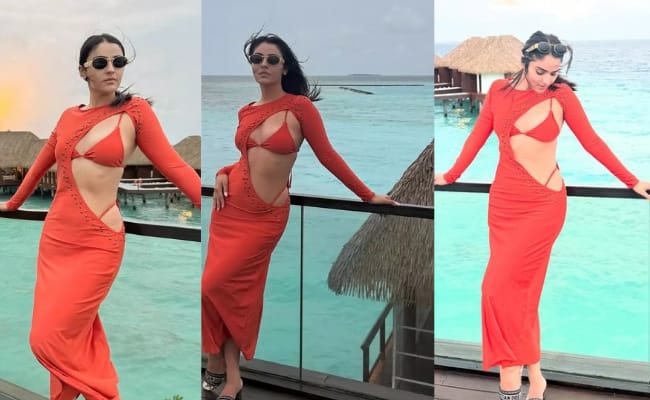 Miss Sharma's Mindblowing Poses In 'Sexotic' Dress