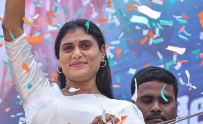 Who shall Sharmila target – Naidu or Jagan?