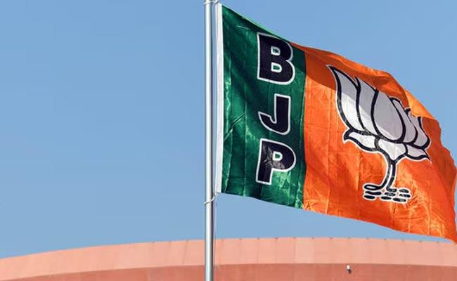 Simhachalam tragedy: BJP faults endowments department