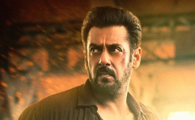 Postmortem: Why Tiger 3 Failed At Box Office?