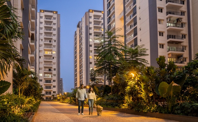 Why Pet Parents Are Redefining Modern Home Living