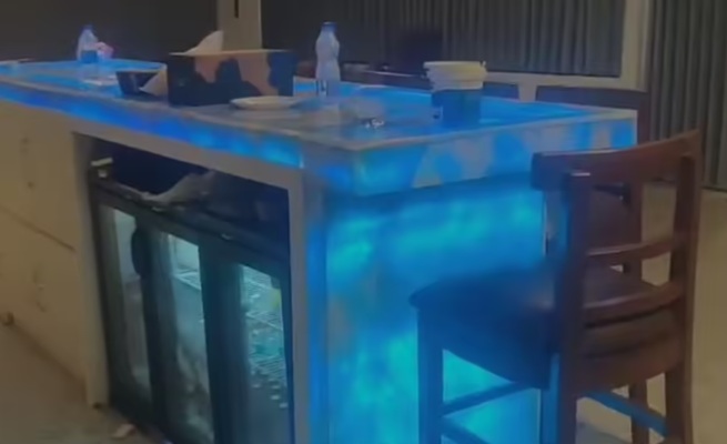 SIT seizes Moinabad farmhouse, arrest drug peddler