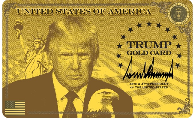 USA Opens Gates: Golden Opportunity For Rich Indians