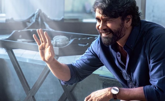 From Kuberaa To Coolie: Nag's Pan India Move