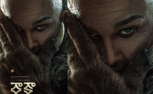 Is Allu Arjun Doing 'Bhediya' Like Film?