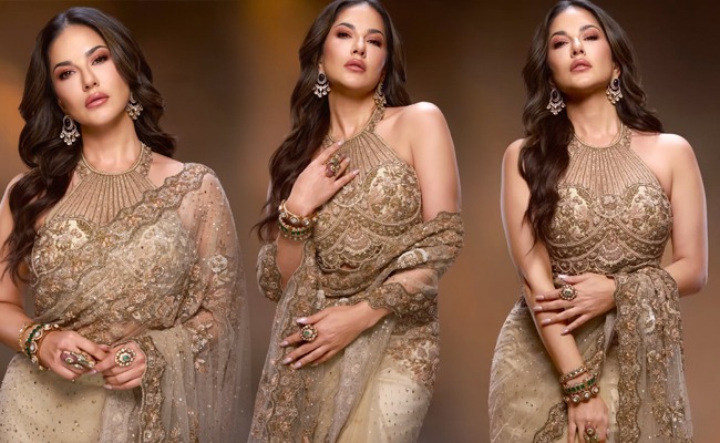 HOT: Erotic Queen Stuns In Elegant Saree