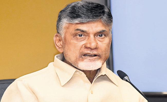 Naidu Plans To Revamp Andhra TDP!