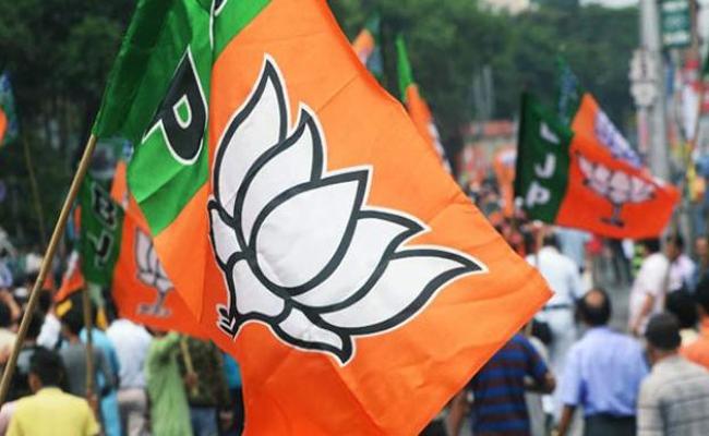 BJP seeks central intervention in local body polls