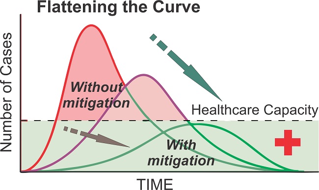 How to Flatten the Corona Curve?