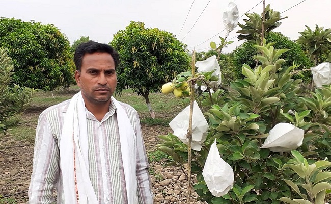 'Little Kashmir' in Telangana: Maiden Aapple Crop