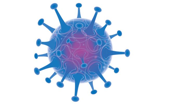 Ten Common Tips for Surviving the Coronavirus Pandemic
