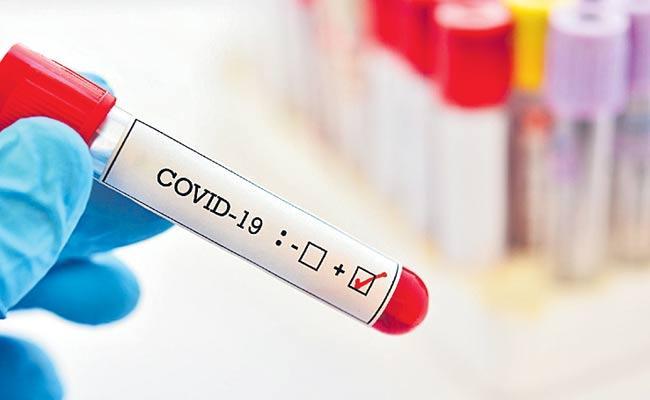 Covid-19: Andhra Pradesh Records 44 New Cases