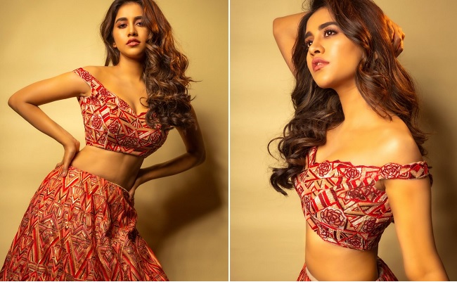 pHOTo Gallery: Nabha Natesh's Sizzling Show