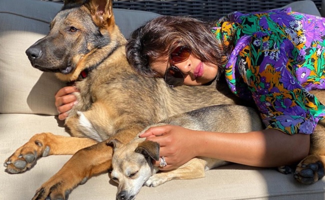 Priyanka's new pic packed with sunshine, cuddles