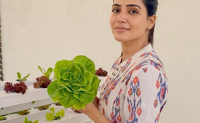 Pic Talk: Samantha Becomes An Urban Farmer