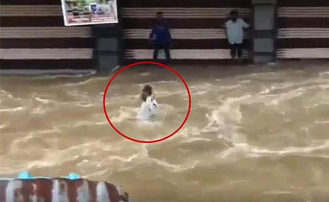 Video: Man Washed Away In Hyderabad As Locals Shout For Help