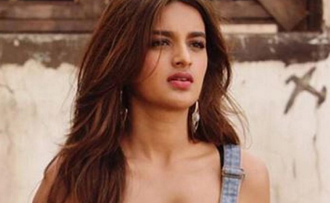 Nidhi Agerwal Denies Dating a Hero