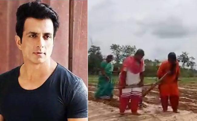 Sonu Sood Made A Bakra By Farmer's Family?