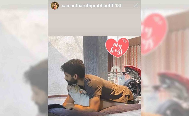 Samantha Akkineni Shares Snapshots Of Her 'Boys'