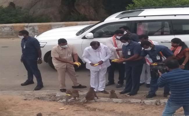 KCR feeds bananas to monkeys at Yadadri