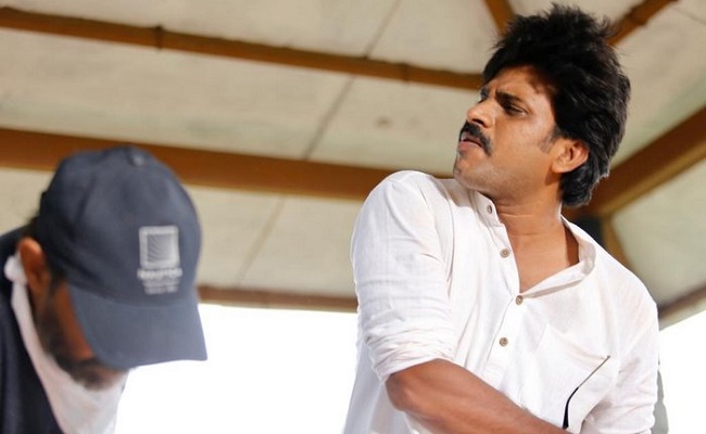 My Hero's Name Is Power Star: Ram Gopal Varma