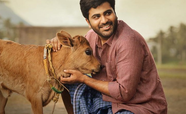 Sharwanand Misses A Golden Opportunity!