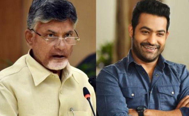 TDP's Future: Neither Chandrababu Gives Nor Jr NTR Takes