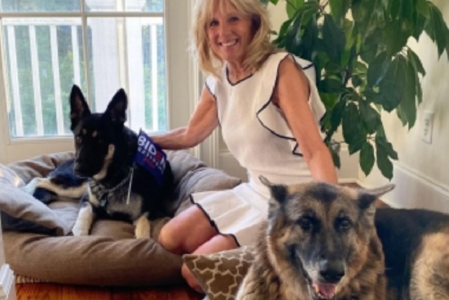 Biden's dog hurts 'someone at White House'