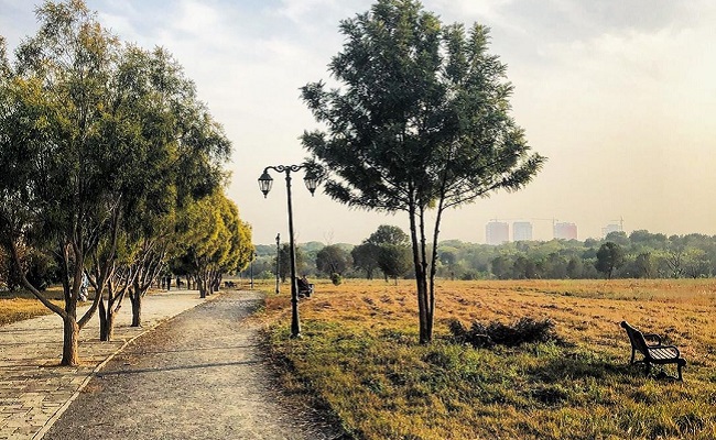 Hyderabad recognised as Tree City of the World