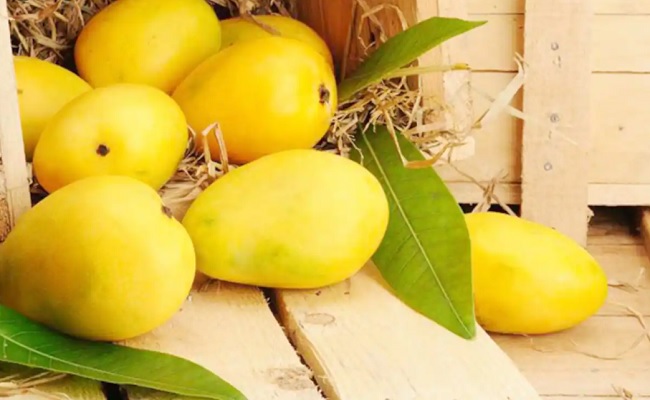 Health Benefits: Four Reasons To Eat Mangoes