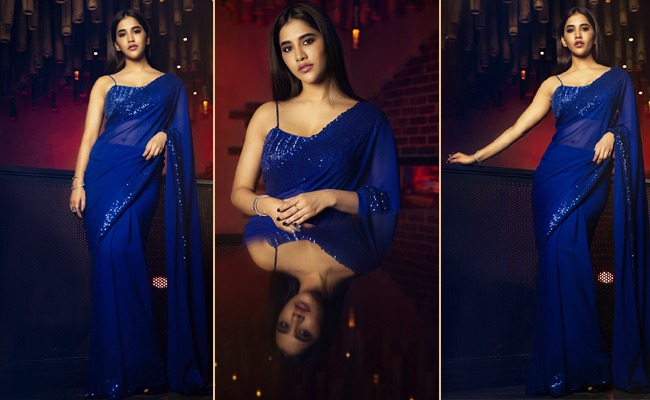 Pics: Nabha Natesh dazzles like a Diva in Blue Saree!
