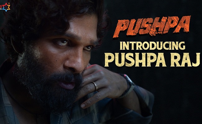 Pushpa Teaser: Majestic and Action-packed