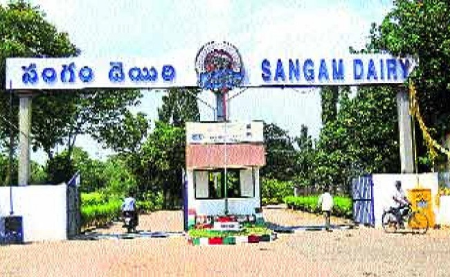 Andhra Pradesh Govt Takes Over Sangam Dairy